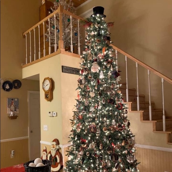 Meet your Posher, Janna - Picture 1 of 1